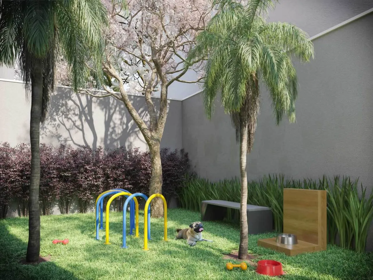 Zoom Santa Cecília - 6