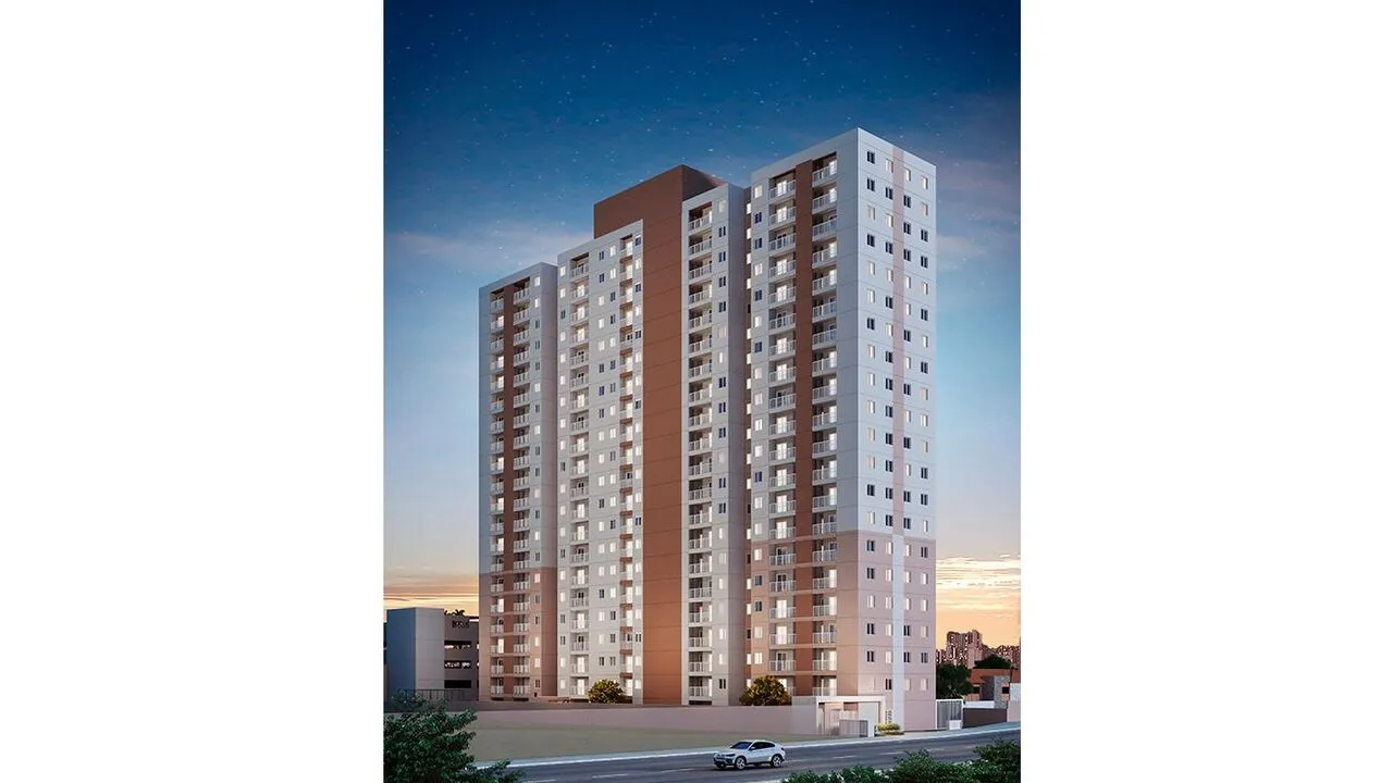 Ton Bosque Maia - 18