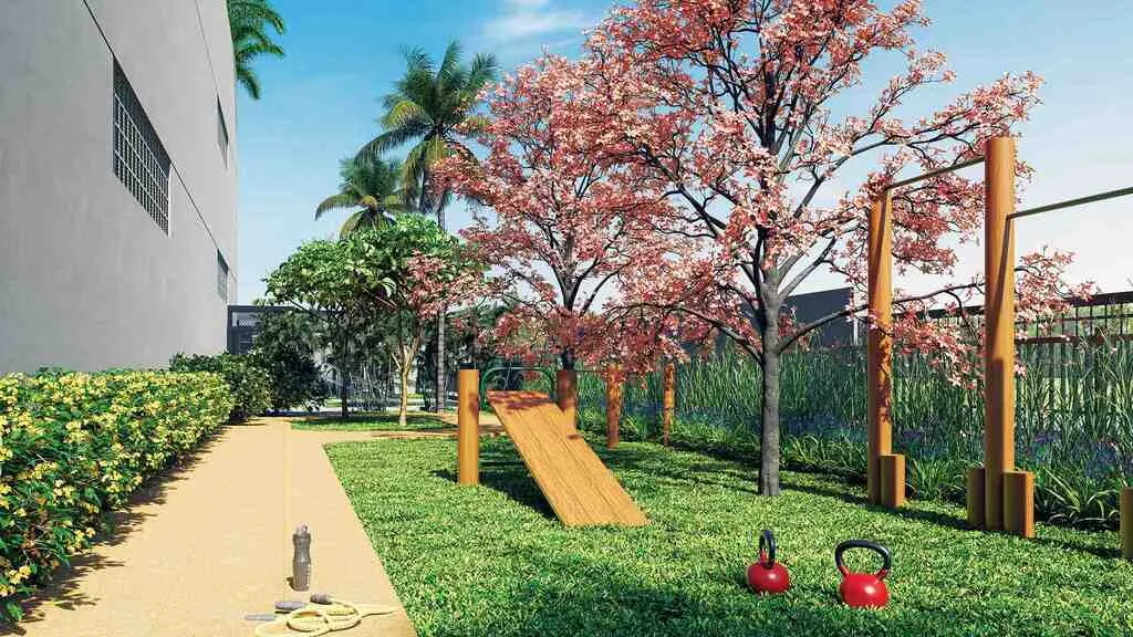 Áurea Nova Petrópolis  - 3