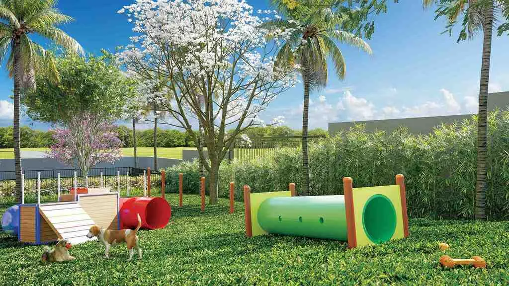 Áurea Nova Petrópolis  - 5