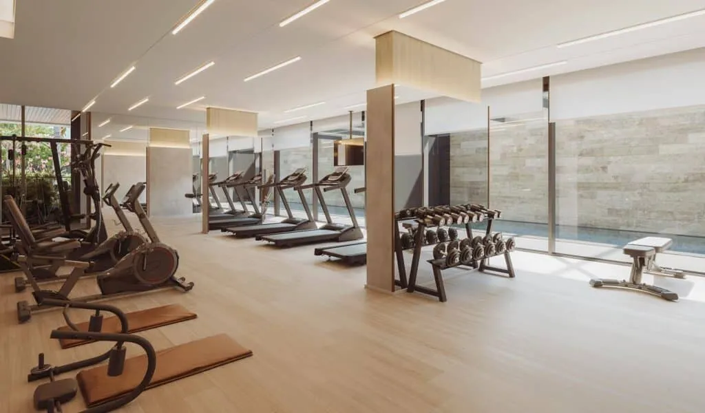 Organic By Paulo Mauro  - 12