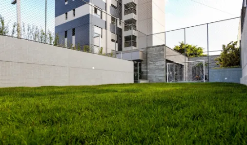 Raízes do Parque  - 7