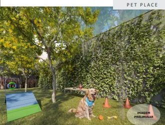 Arvo Teixeira da Silva - 8