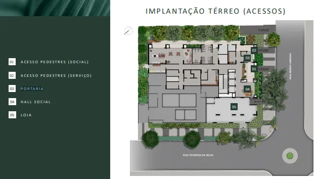 Arvo Teixeira da Silva - 15