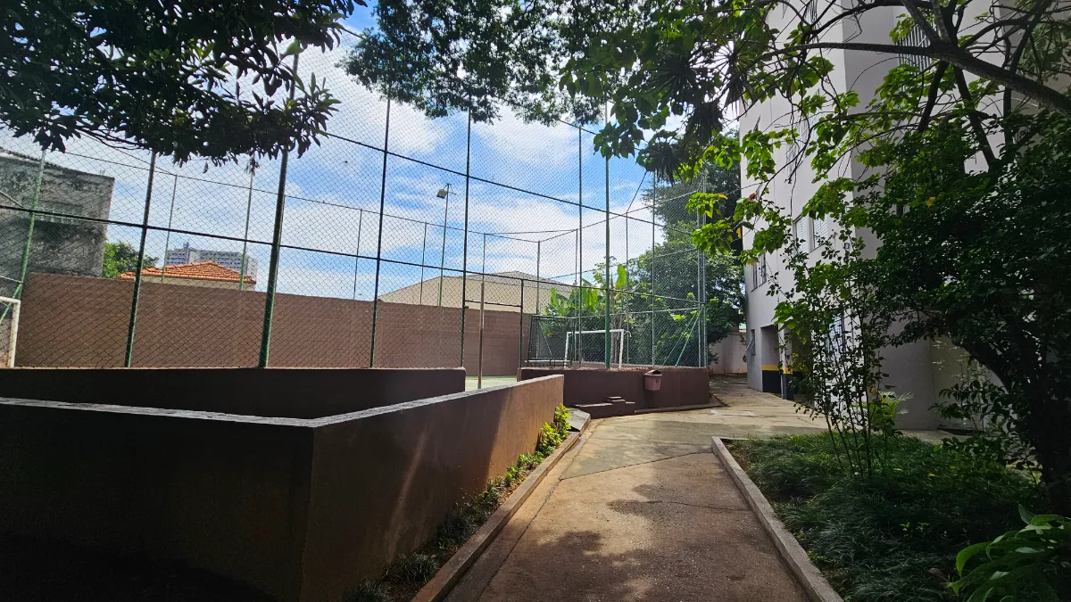 Ilha Da Lapa - 12