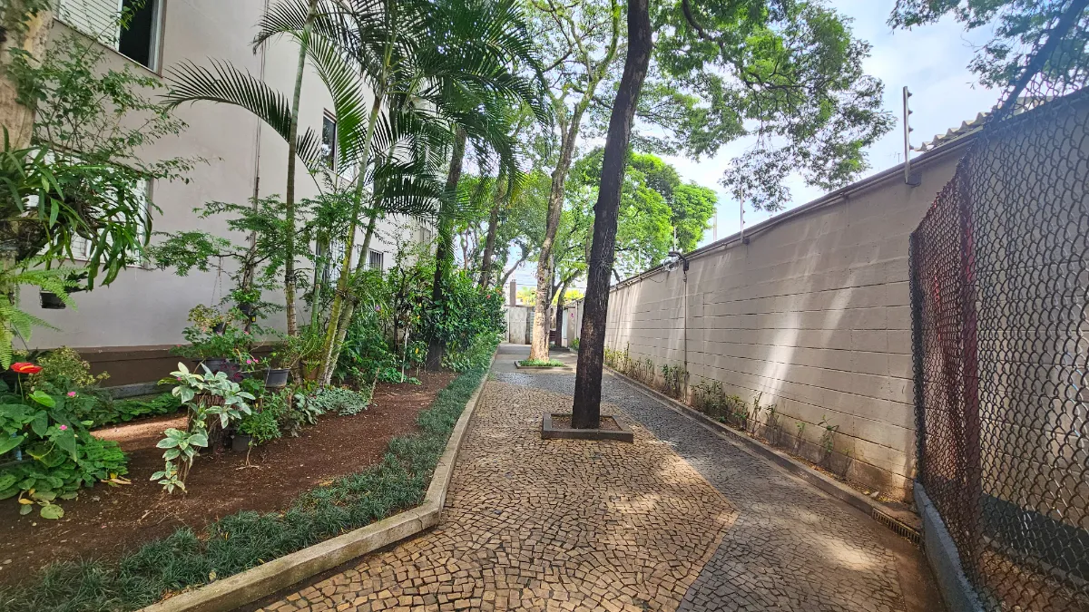 Ilha Da Lapa - 2