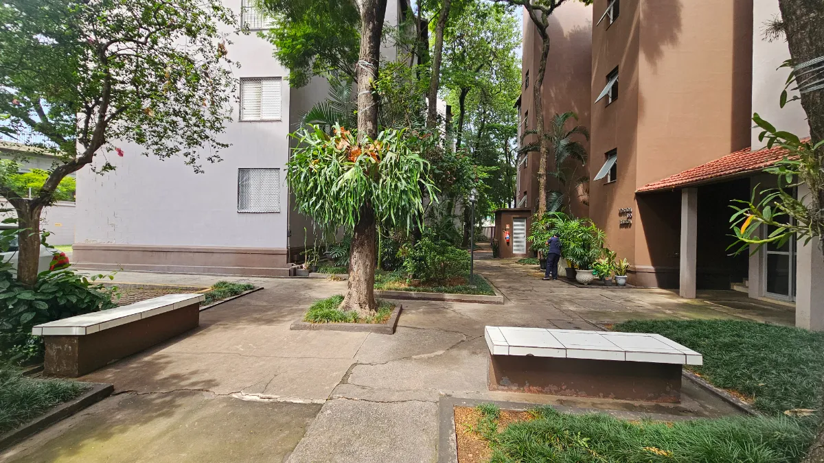 Ilha Da Lapa - 8