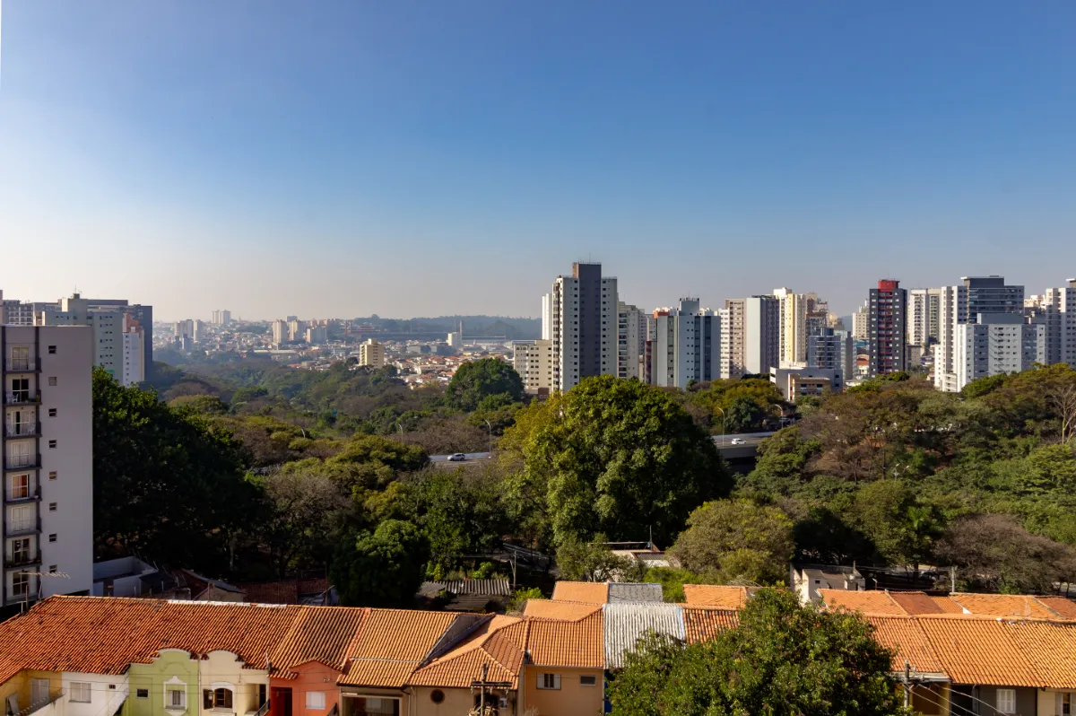 Blueline São Judas - 13