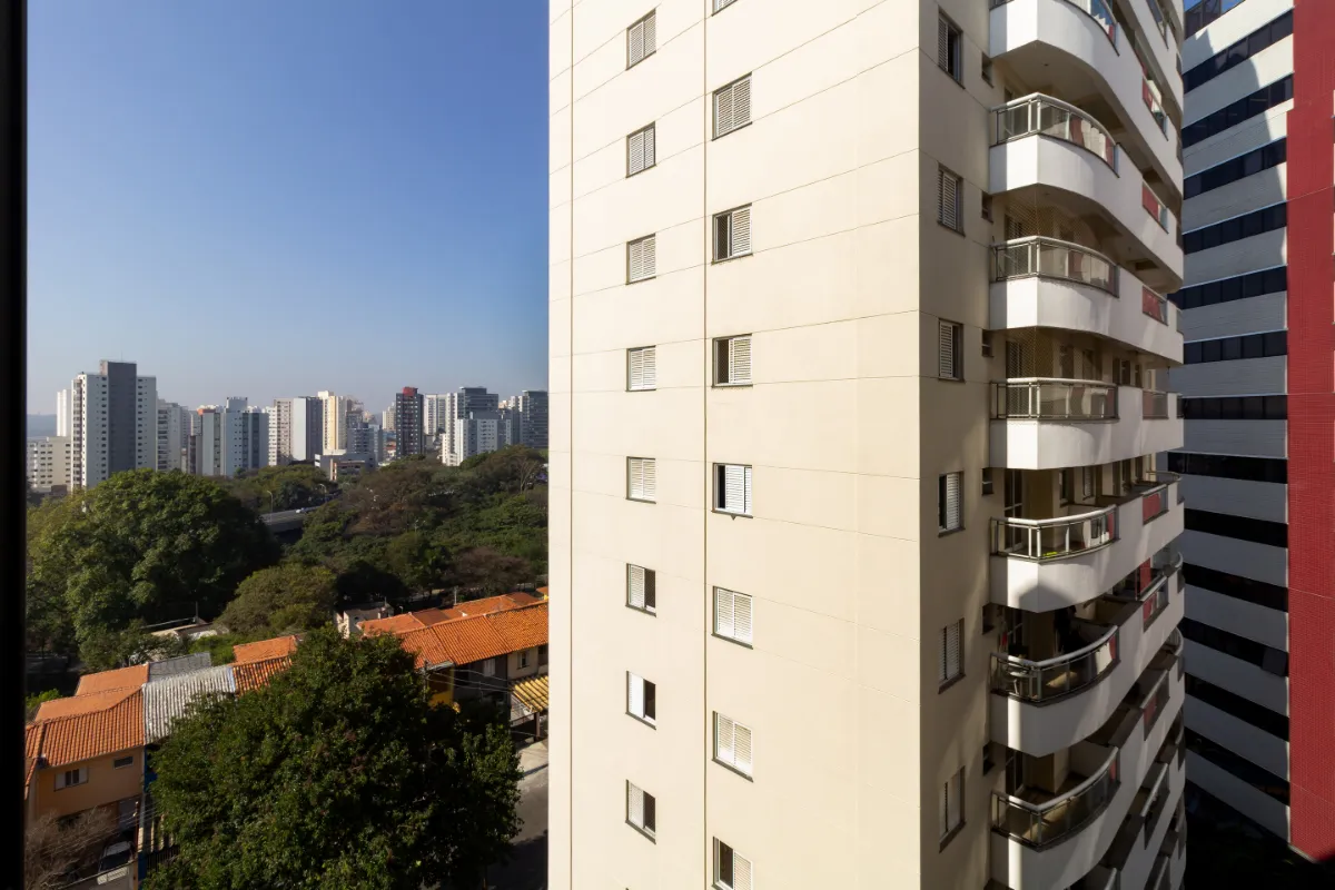 Blueline São Judas - 29