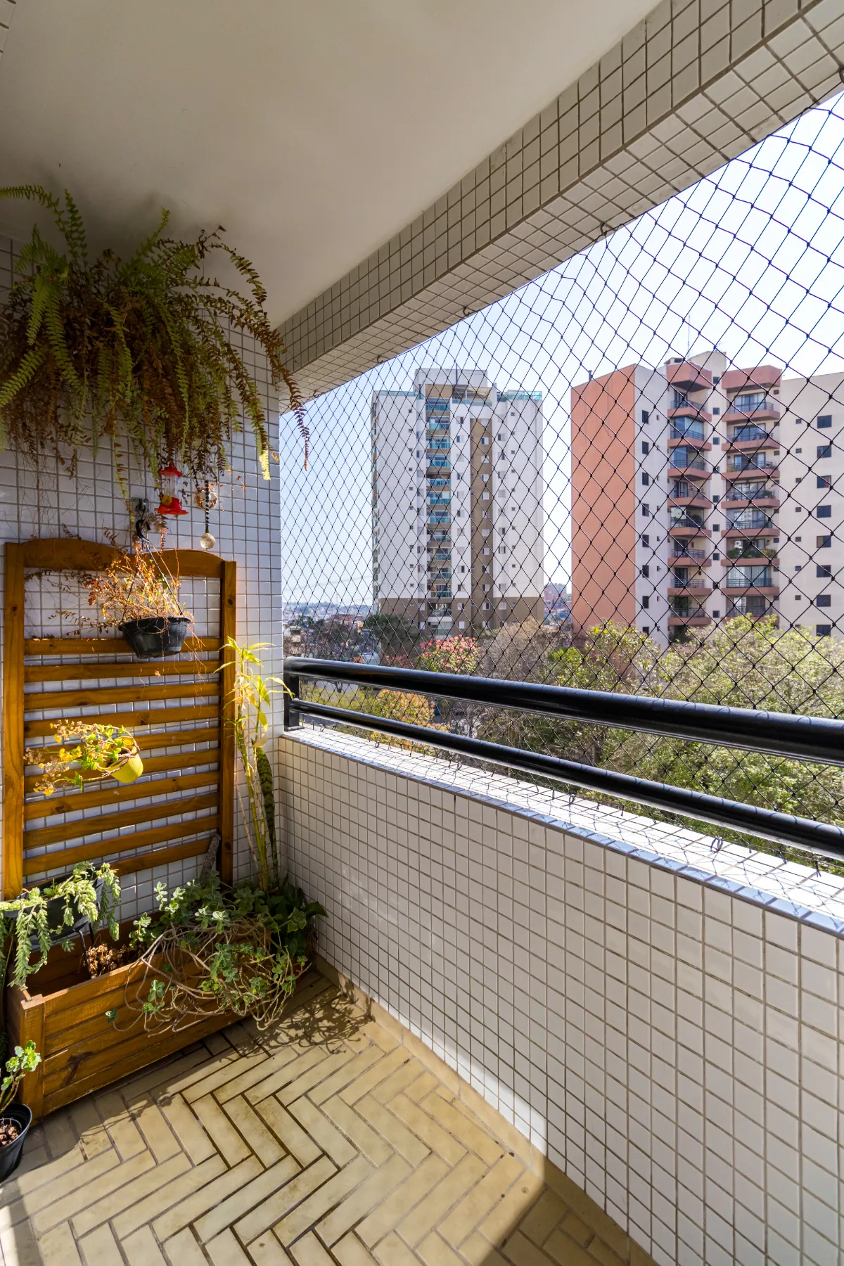 Conforto e Vida - 18