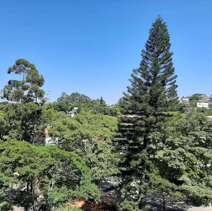 Edifício Maracá - 1