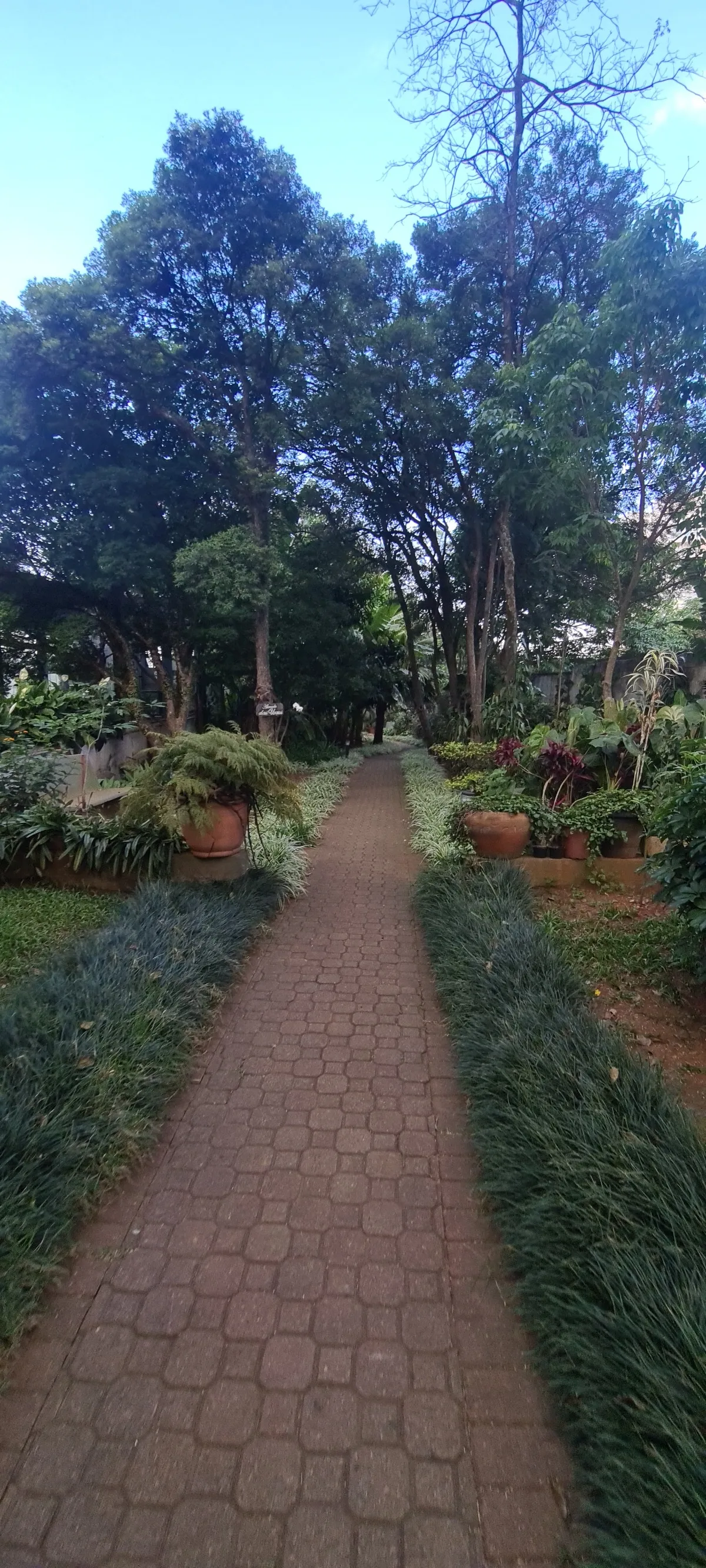 Rio Aviz - 69