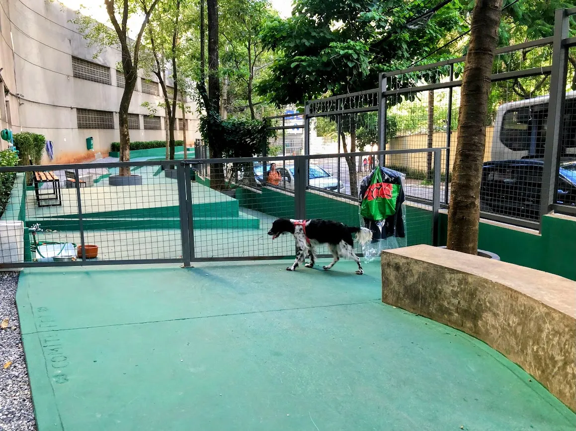 Mais Verde e Arte - 48