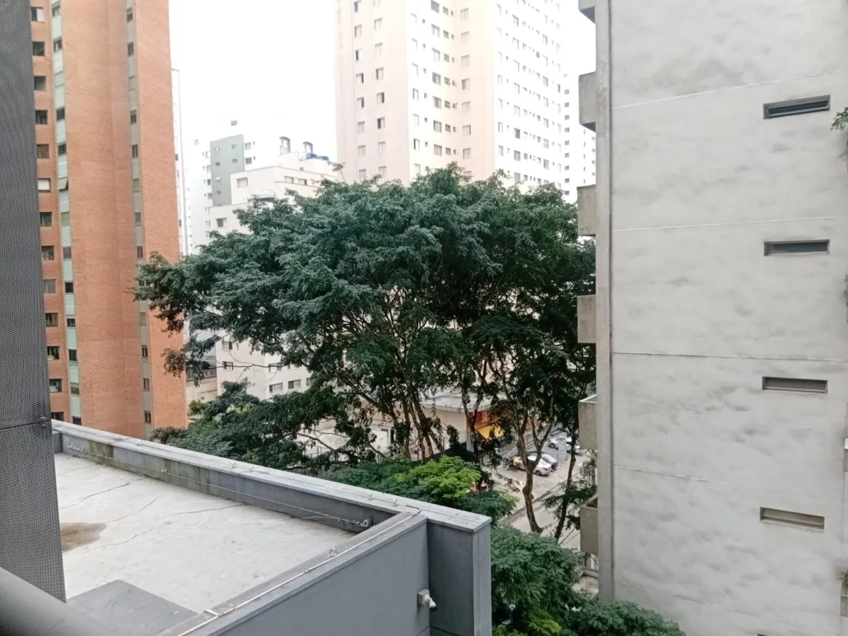 Z Ibirapera - 8