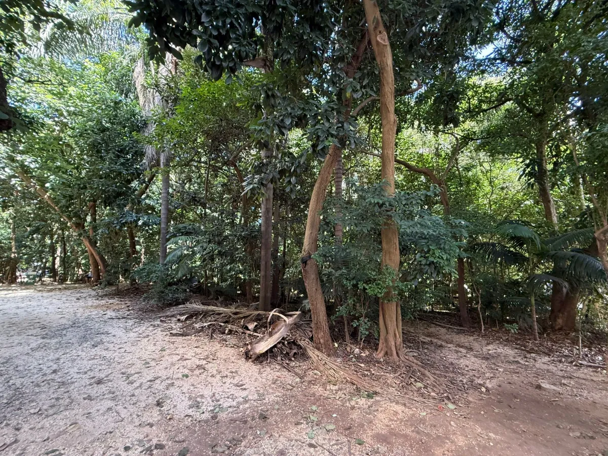 Apartamento à venda com 53m², 2 quartos com vaga - 61