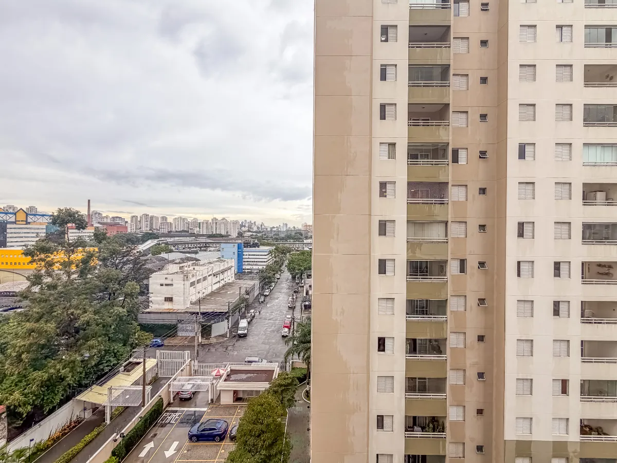 Jardim das Azaleias - 50