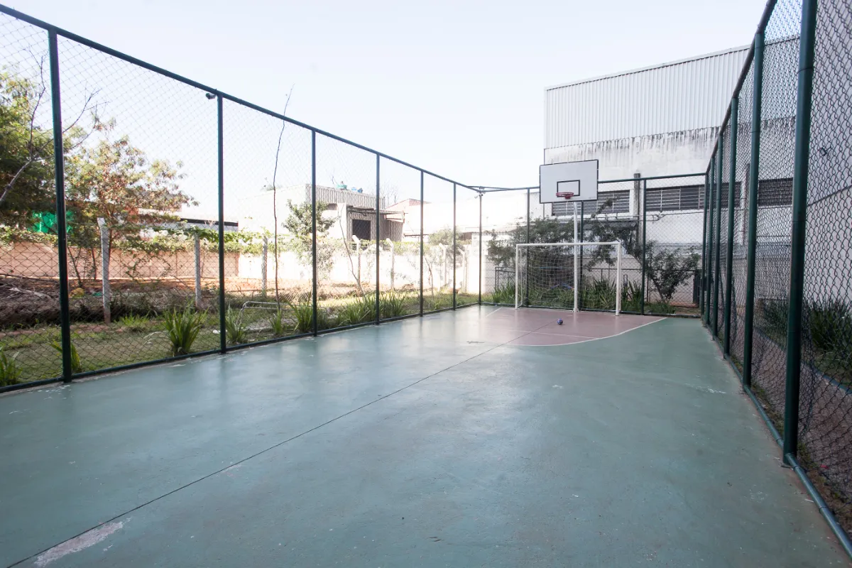 VIva Limão - 40