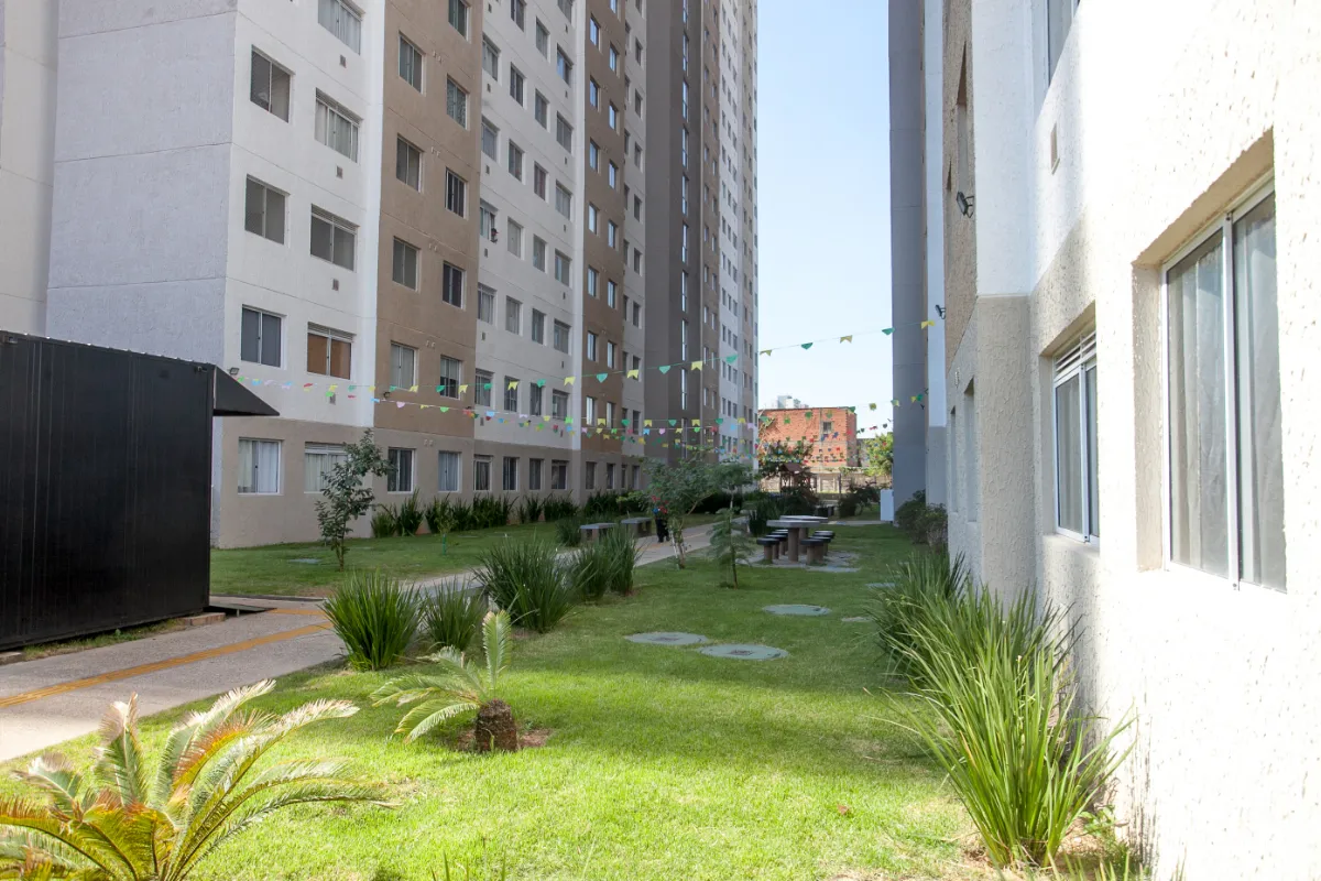 VIva Limão - 60