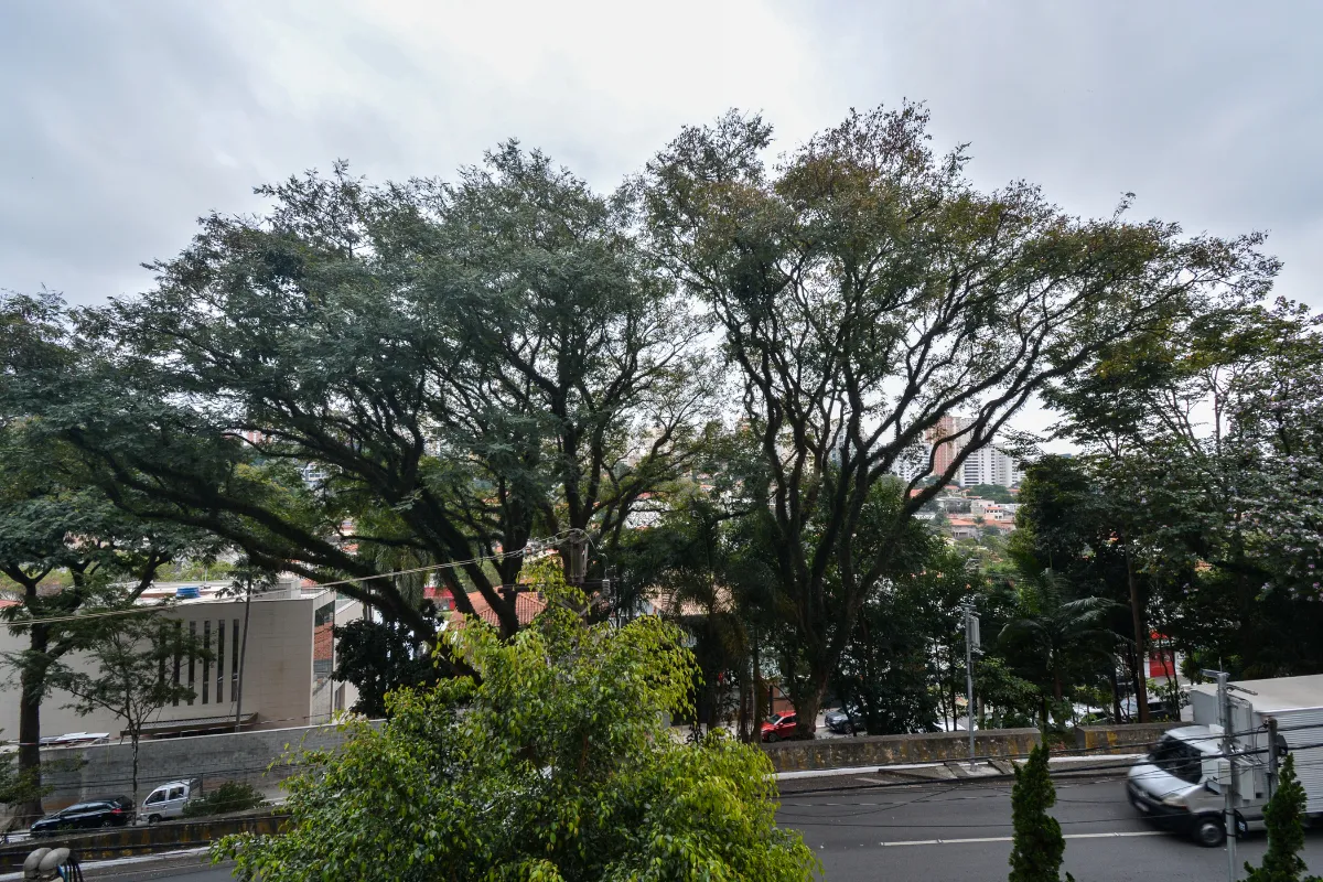Edifício Lara Mara - 15