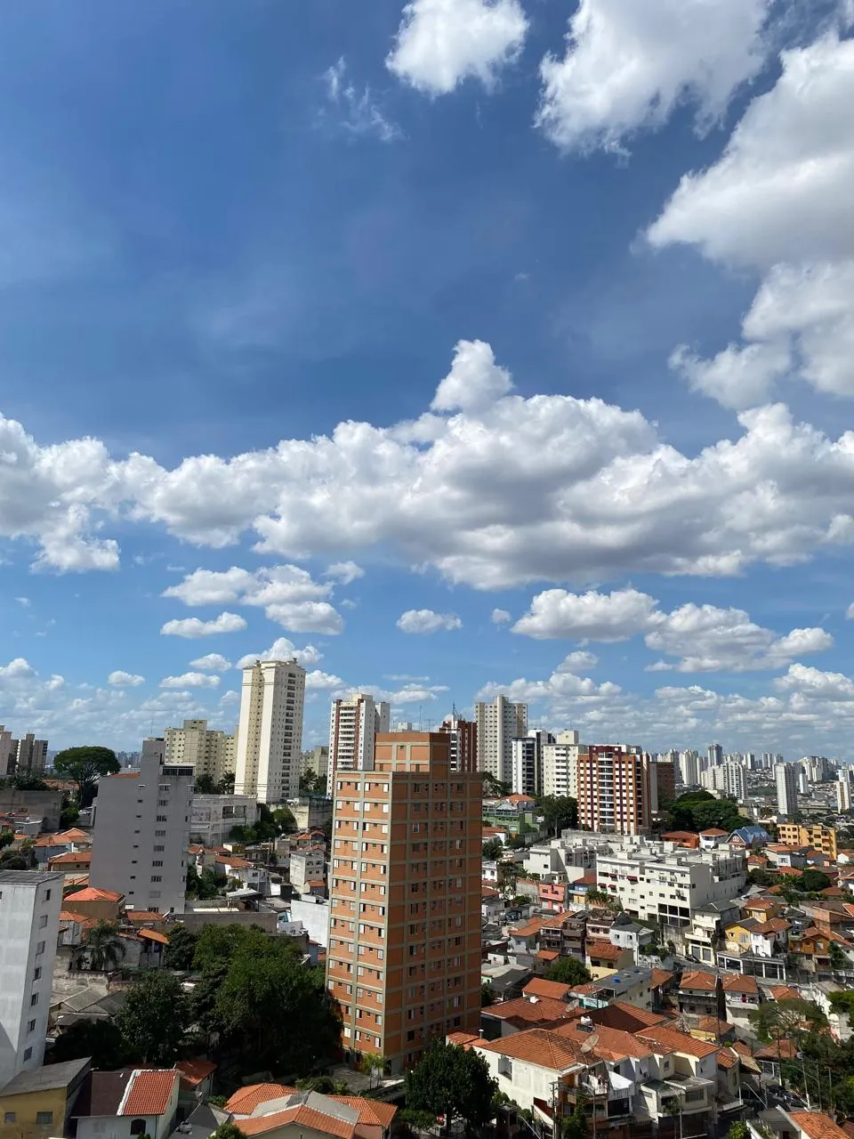 EDIFICIO MARINA IV - 16