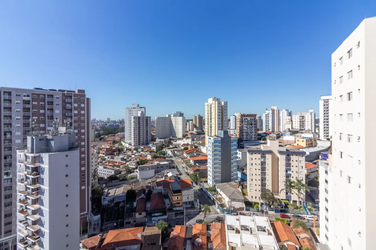 Tagram Conceição - 15