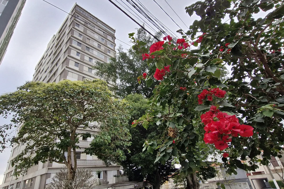 Edifício Guaraciara - 38