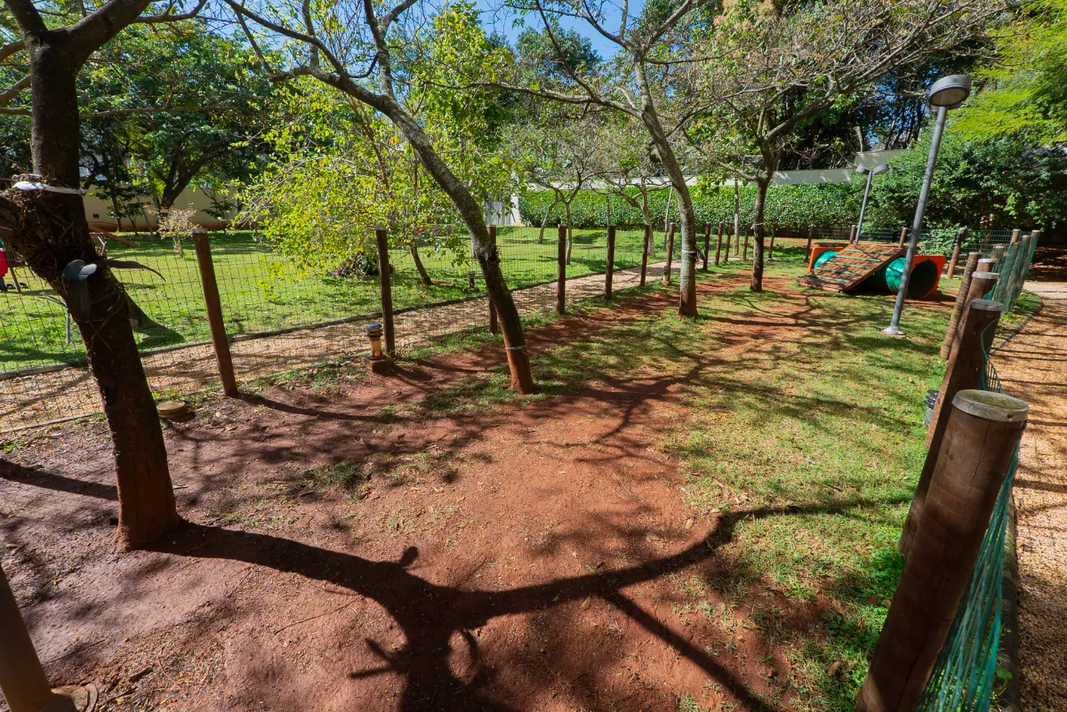 Passeio do Bosque - 81