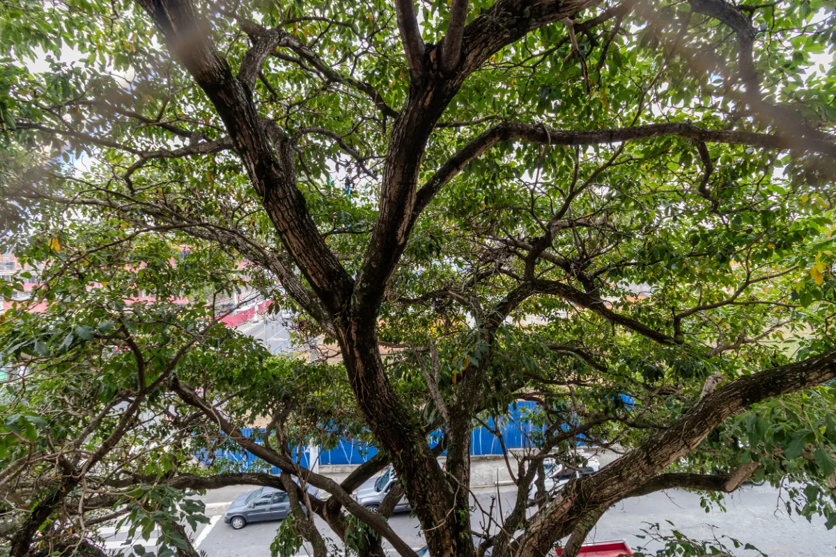Apartamento à venda com 59m², 3 quartos com vaga - 13