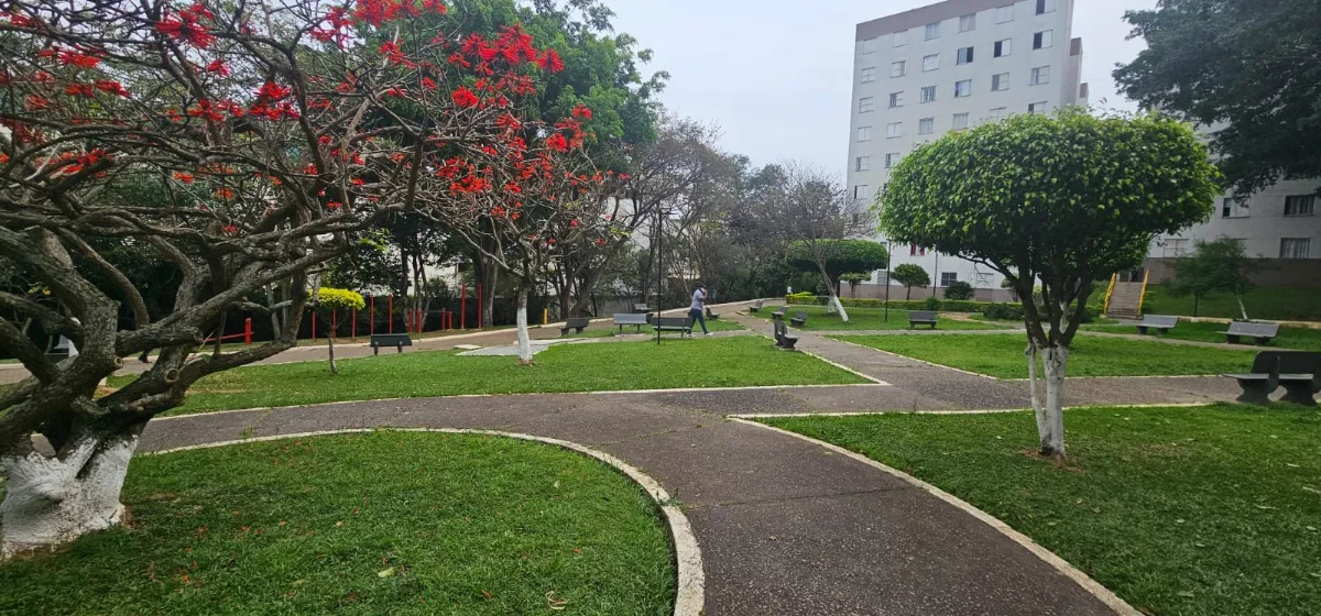 Parque Residencial M'Boi Mirim - Jardim das Flores - 25