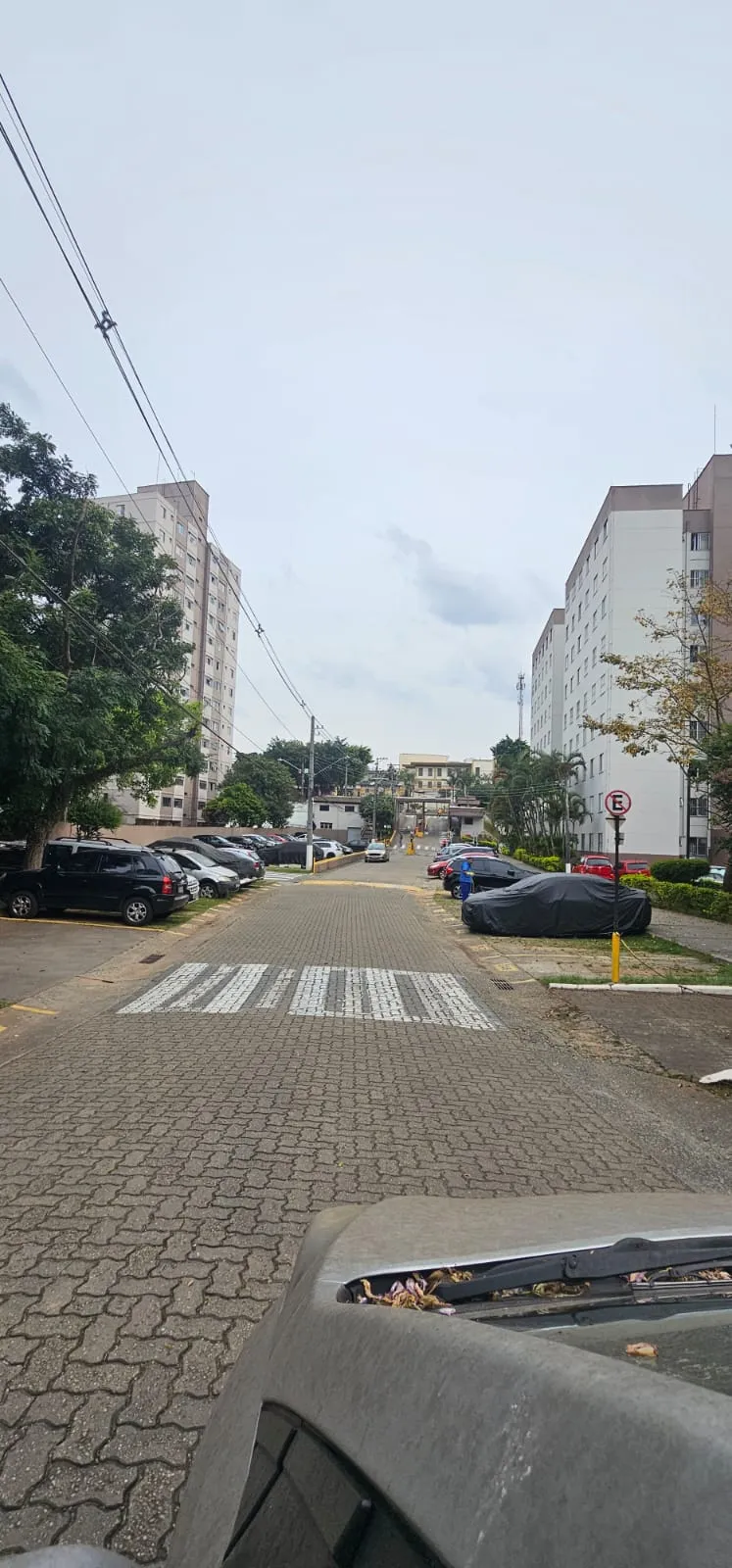 Parque Residencial M'Boi Mirim - Jardim das Flores - 28