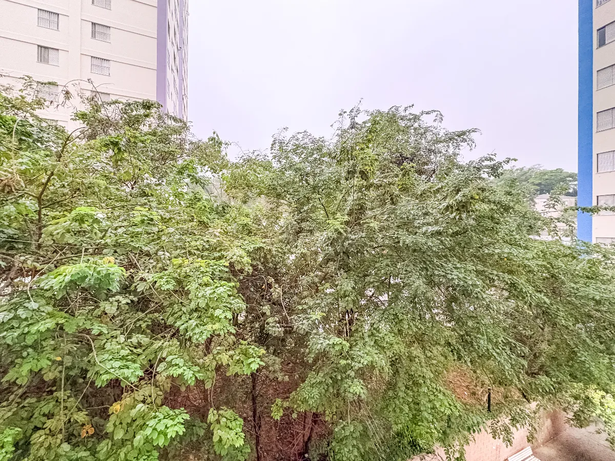 RESIDENCIAL PEDRA BANCA - 29