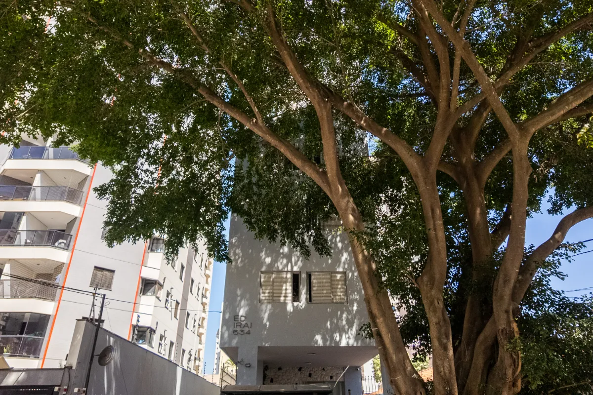 Apartamento à venda com 70m², 2 quartos sem vaga - 86