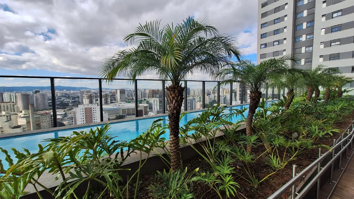 GO PLATÔ - 18