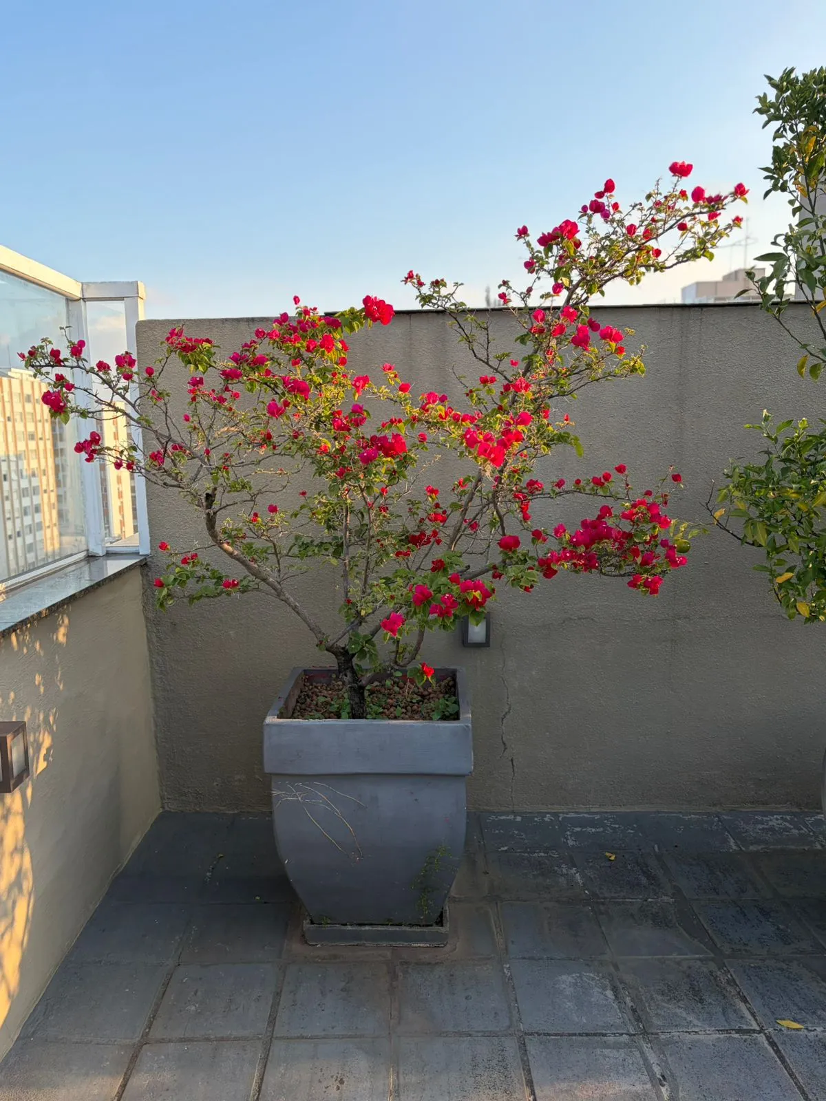 Apartamento à venda com 170m², 3 quartos com vaga – foto 76