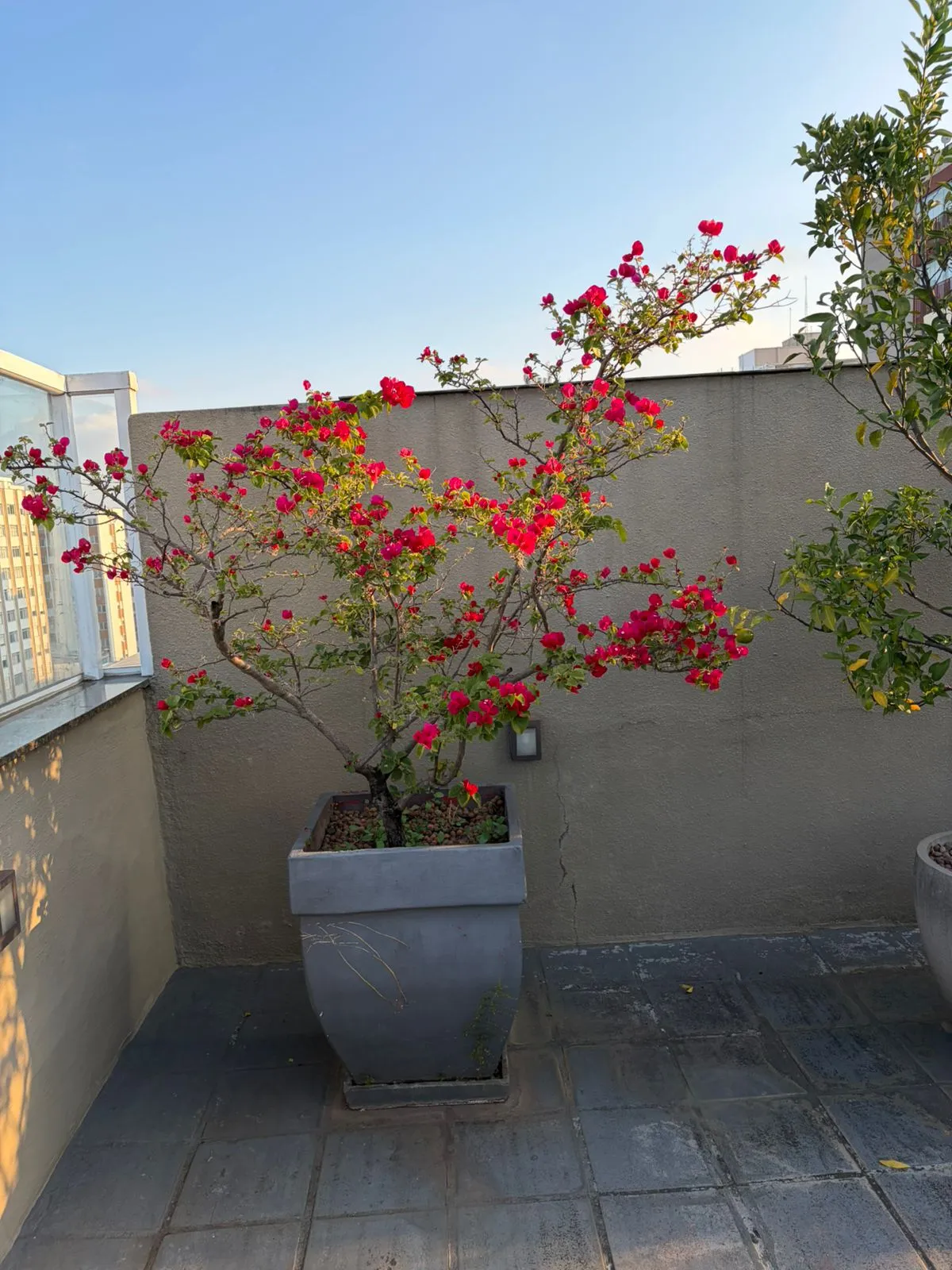 Apartamento à venda com 170m², 3 quartos com vaga – foto 79