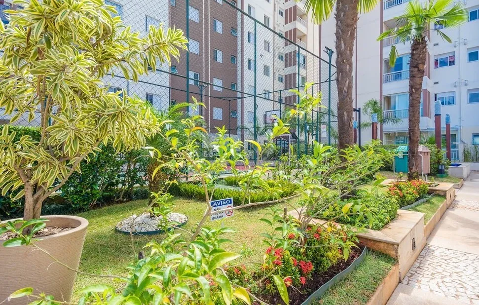 Olimpic MBigucci - 19