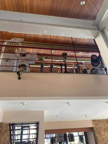 Apartamento à venda com 71m², 3 quartos com vaga - 3